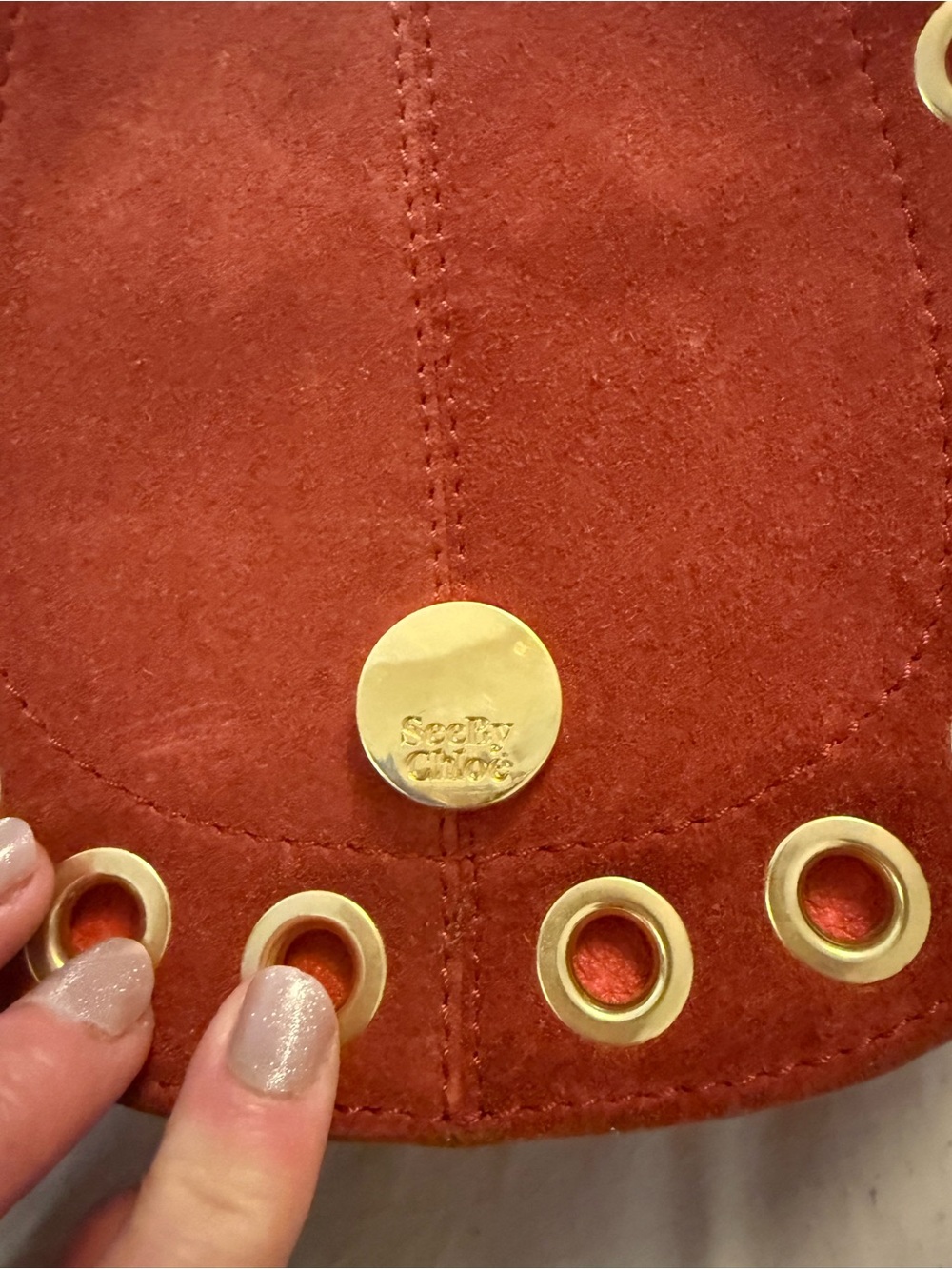 See By Chloe Rust Suede Crossbody Bag with Gold Hardware